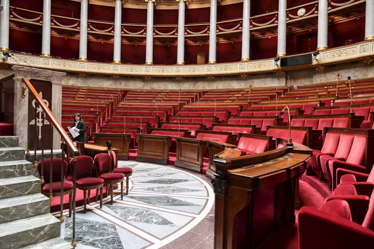 Proportionnelle, exemples étrangers : quelques pistes pour sortir de la crise parlementaire