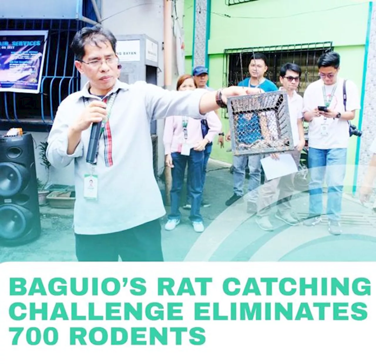 Rat catching challenge in Baguio yields 700 vermins