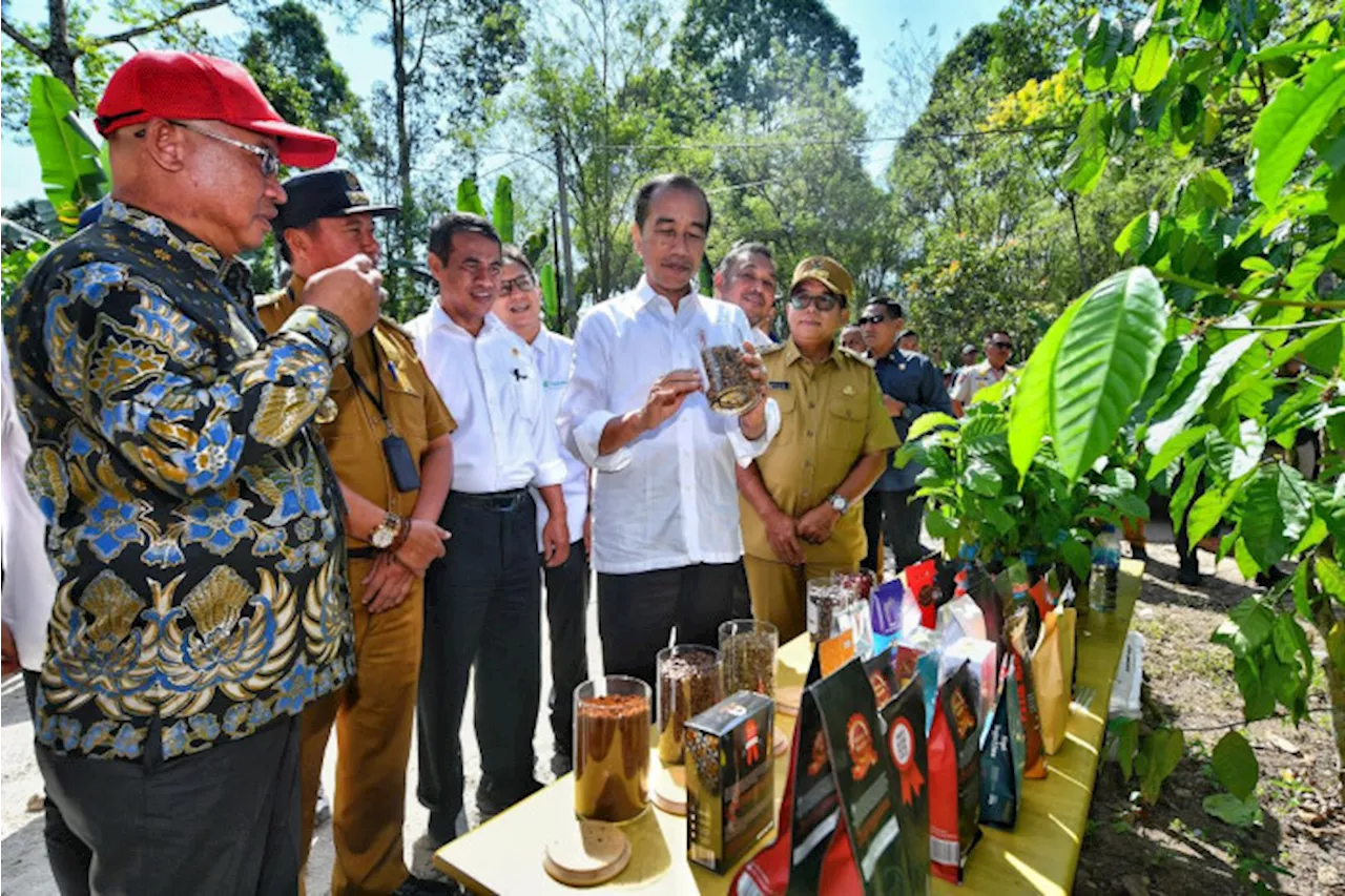 Presiden dan Mentan Amran di Lampung Barat, Pacu Produksi Kopi dan Kesejahteraan Petani