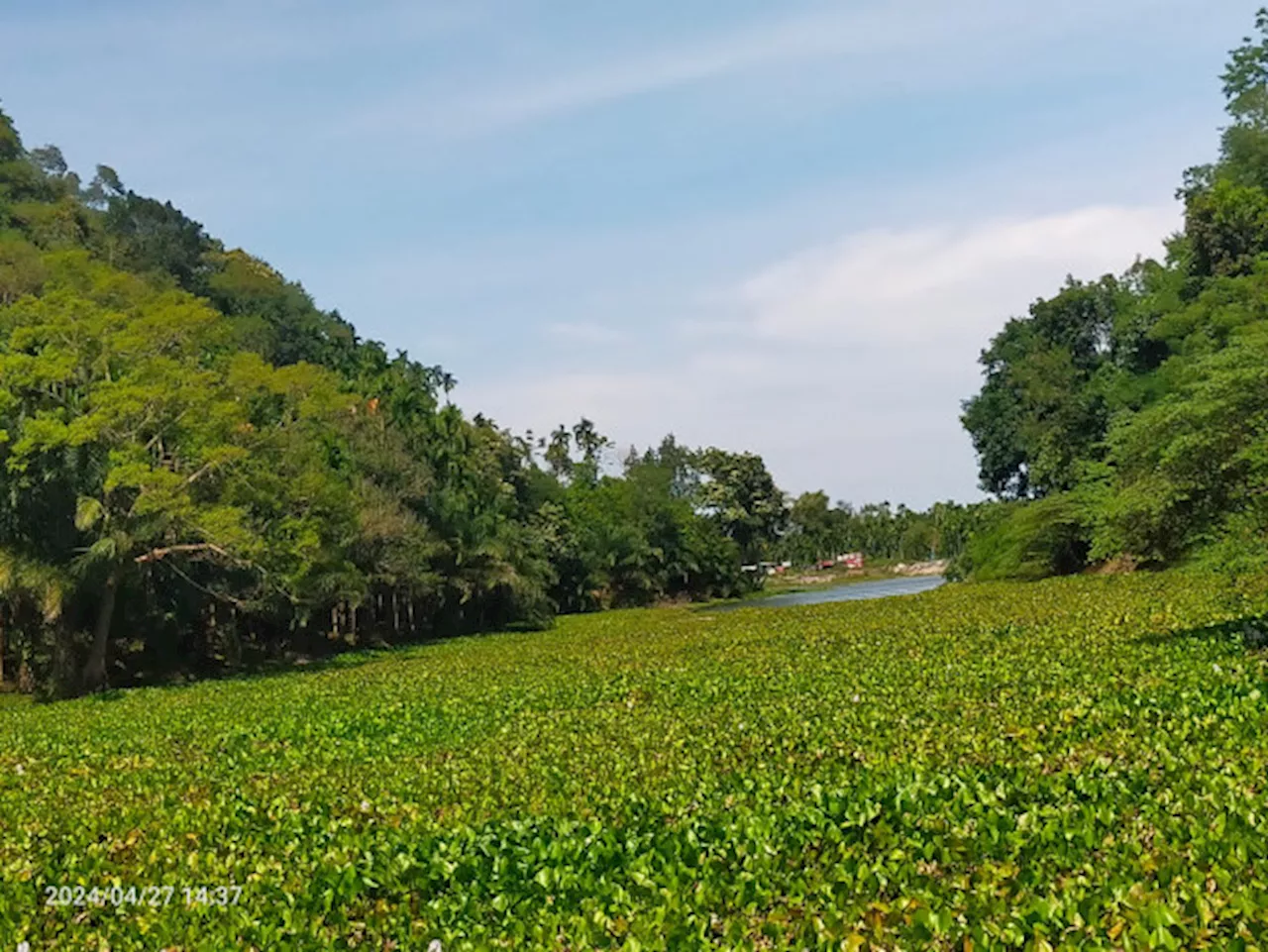 RUU KSDAHE Masih Pinggirkan Peran Masyarkat Adat