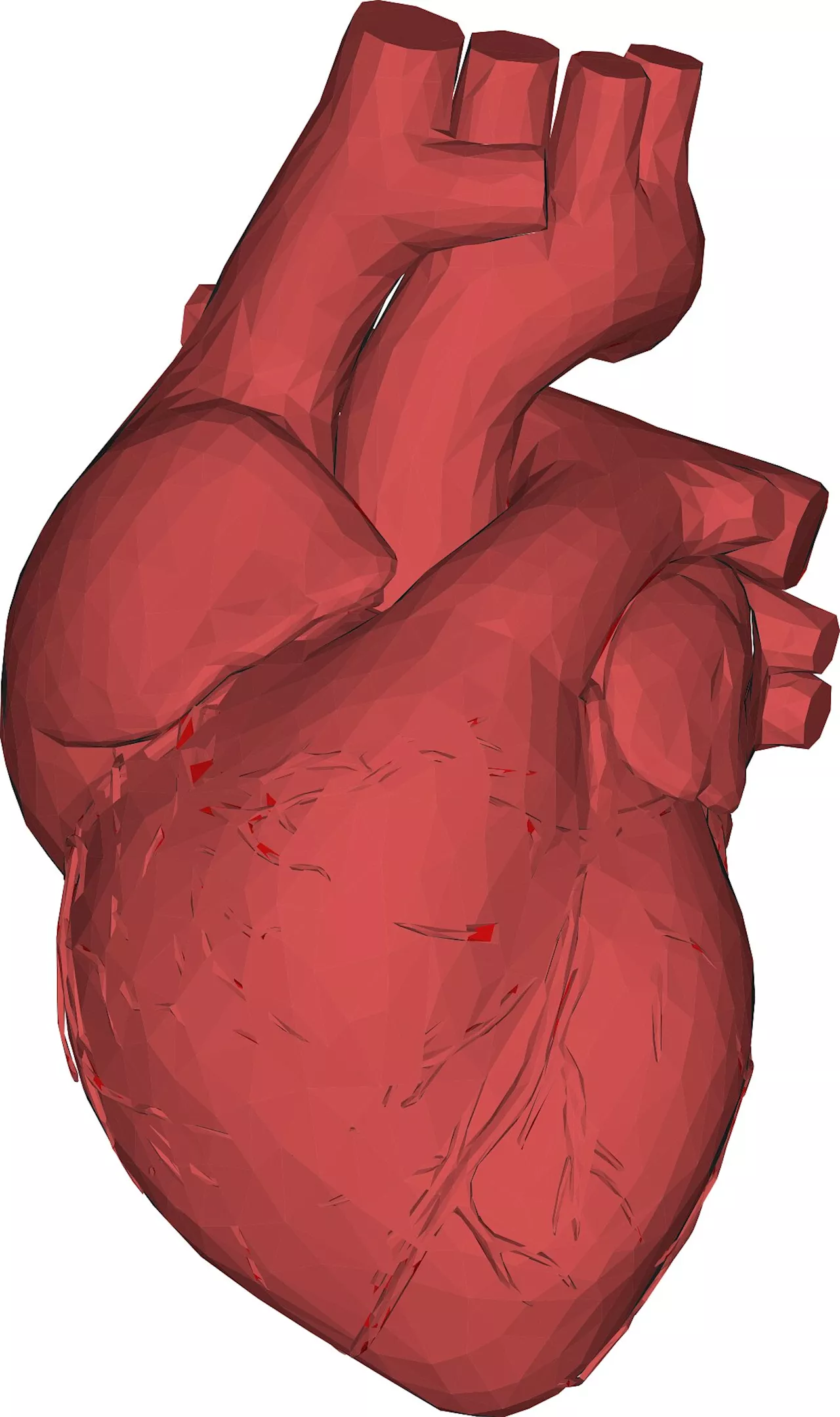 AI speeds up heart scans, saves time, and could lead to better treatment for heart conditions