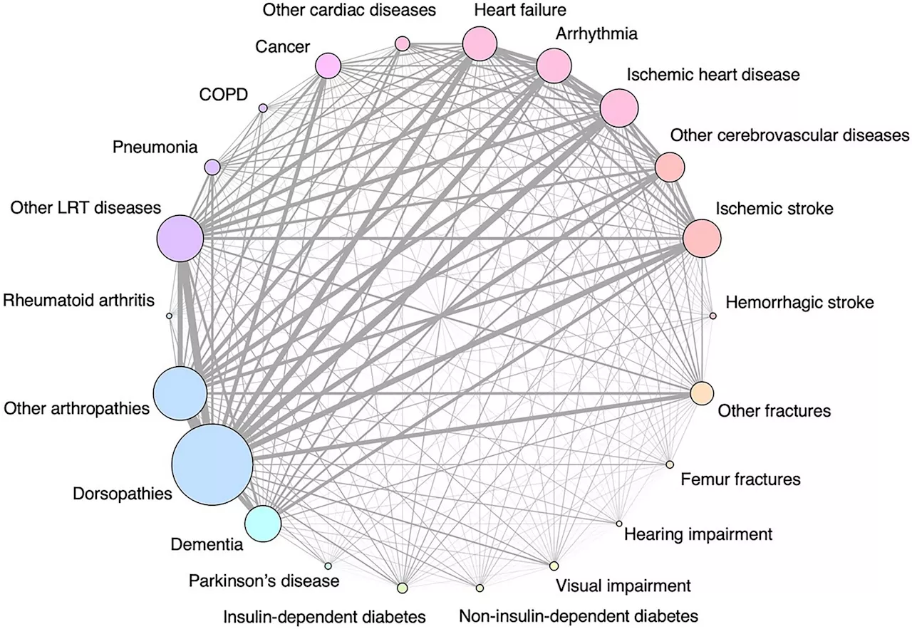 Unraveling disease patterns in older adults starting long-term care in Japan and their future health outcomes