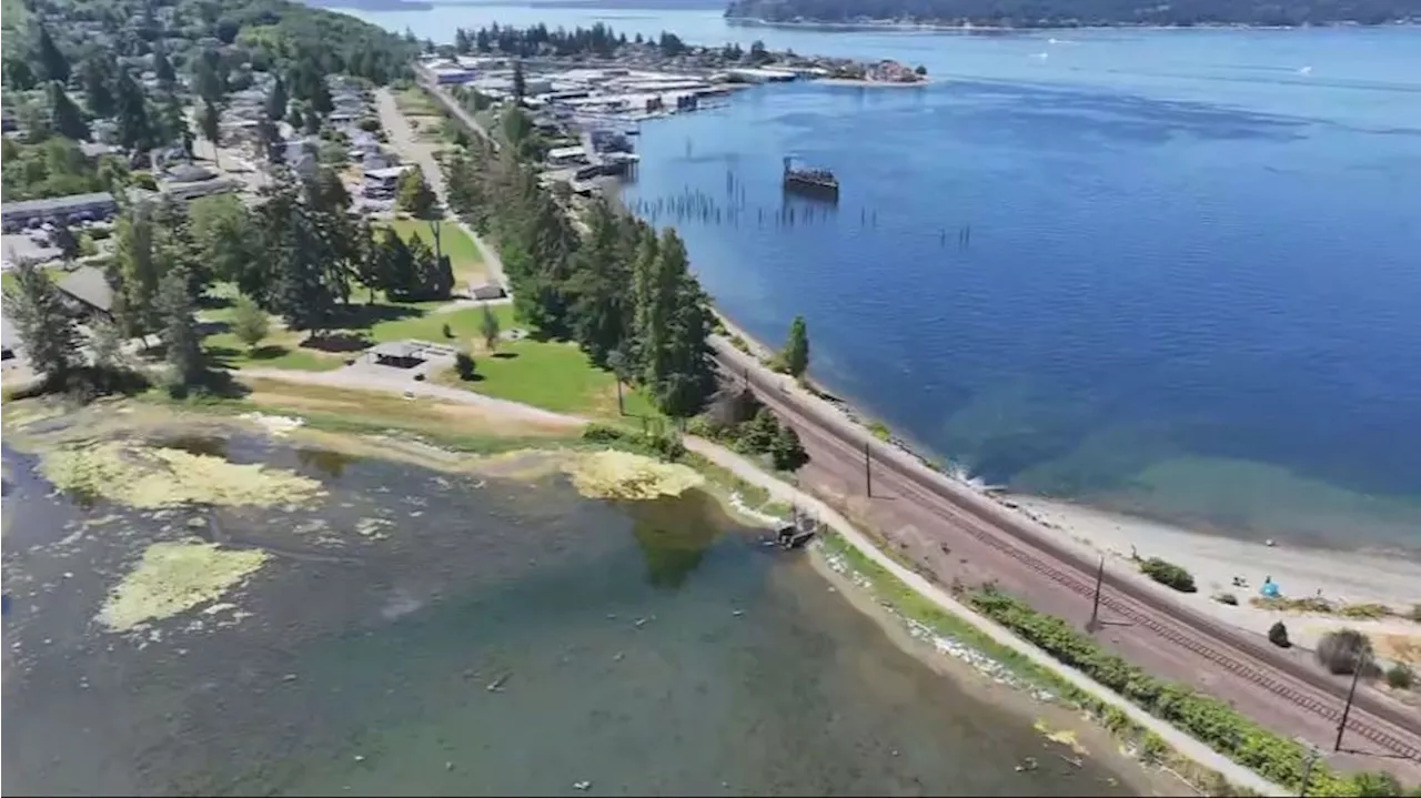 68-year-old man sucked into drain pipe, drowns in Tacoma lagoon