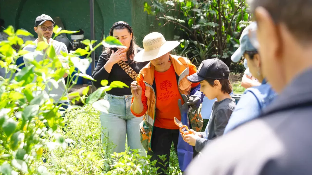 Convocatoria abierta: Jardín Botánico de Medellín abrió 190 vacantes de empleo