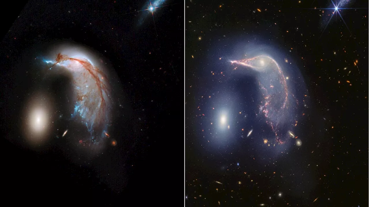 2 galaxies, the Penguin and the Egg, get a family portrait thanks to Webb Telescope