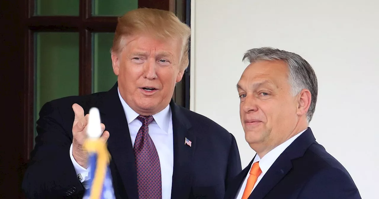 Ungarns Regierungschef Orban besucht Trump nach Nato-Gipfel