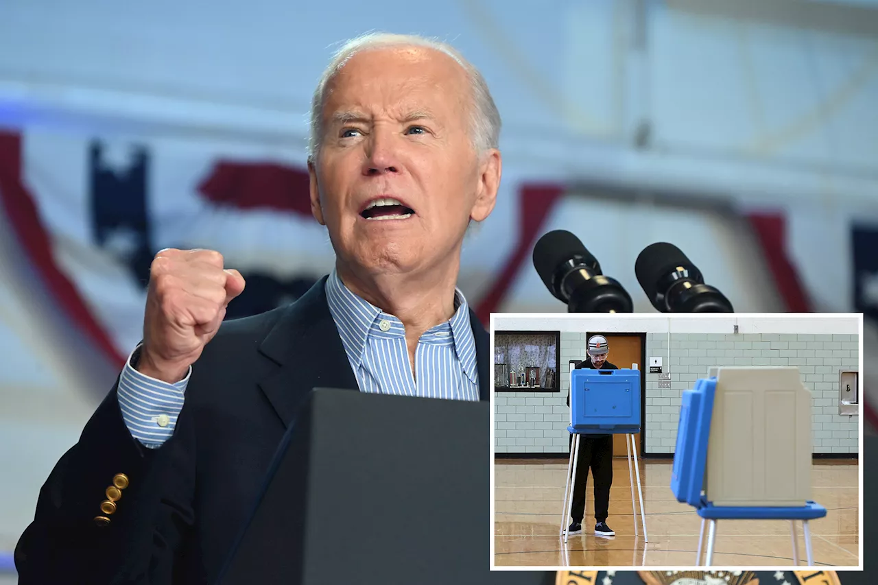 Biden almost impossible to replace on ballot in Michigan and other states: Democratic county clerk