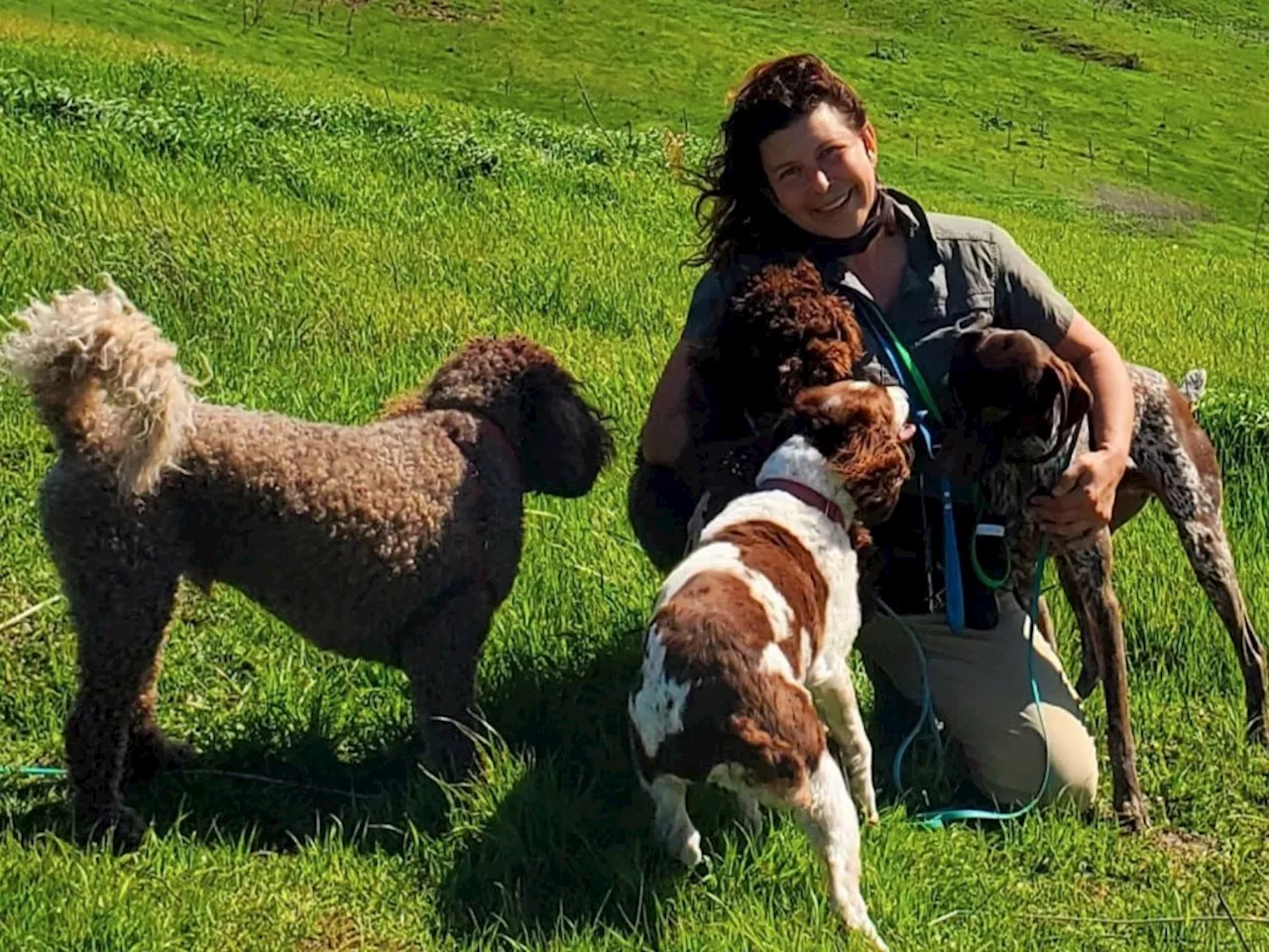 For Walnut Creek woman, ‘there’s no better job’ than walking dogs