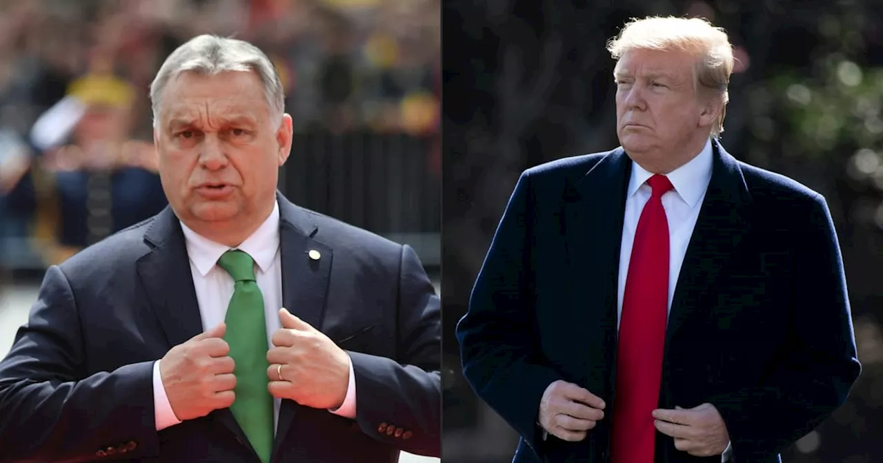 Trump’s ‘going to solve’ Russia-Ukraine war, says Orbán