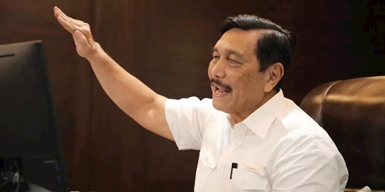 Tiket Pesawat Indonesia Diakui Paling Mahal, Luhut Siapkan Langkah Penurunan Harga