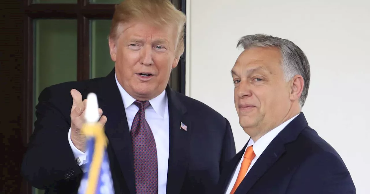 'Friedensmission': Viktor Orban besucht Donald Trump in Mar-a-Lago​