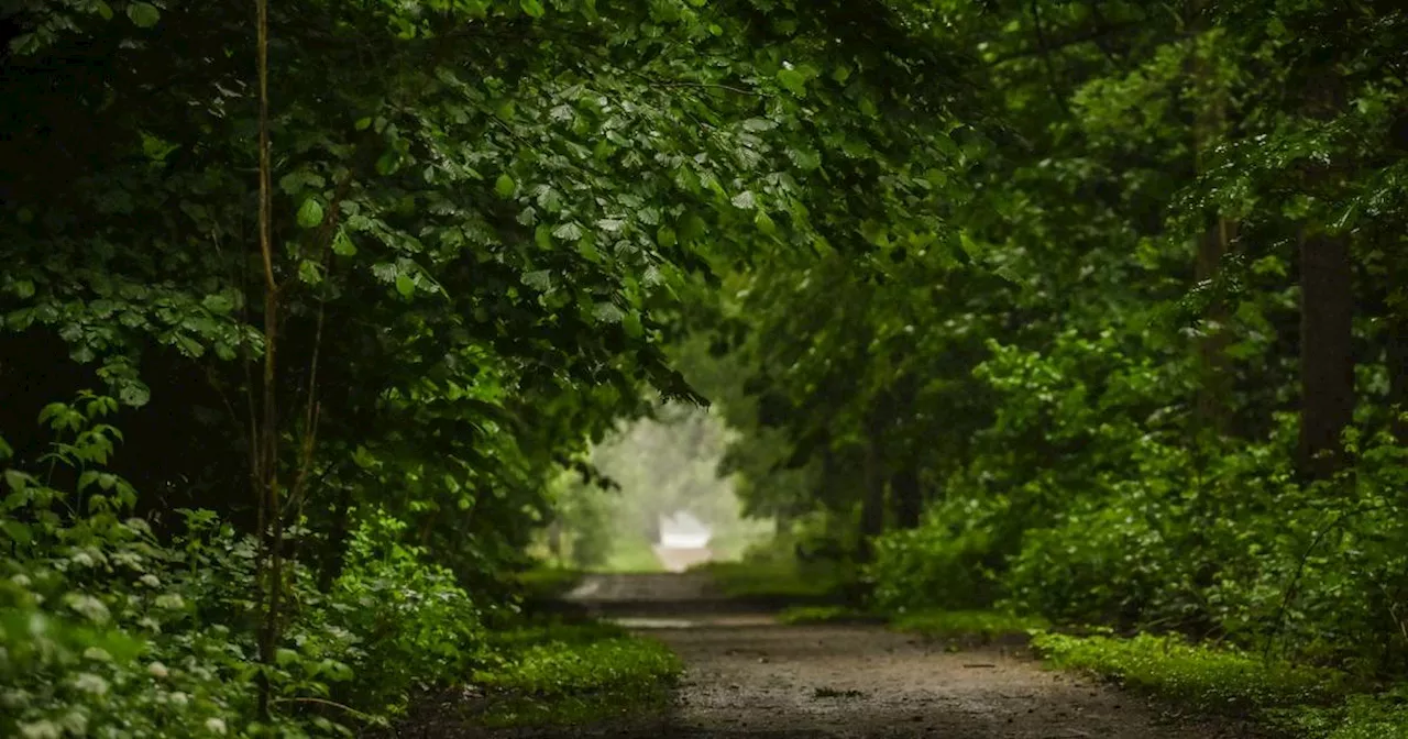 Mehr als 12.000 Unterschriften für Nationalpark Reichswald​