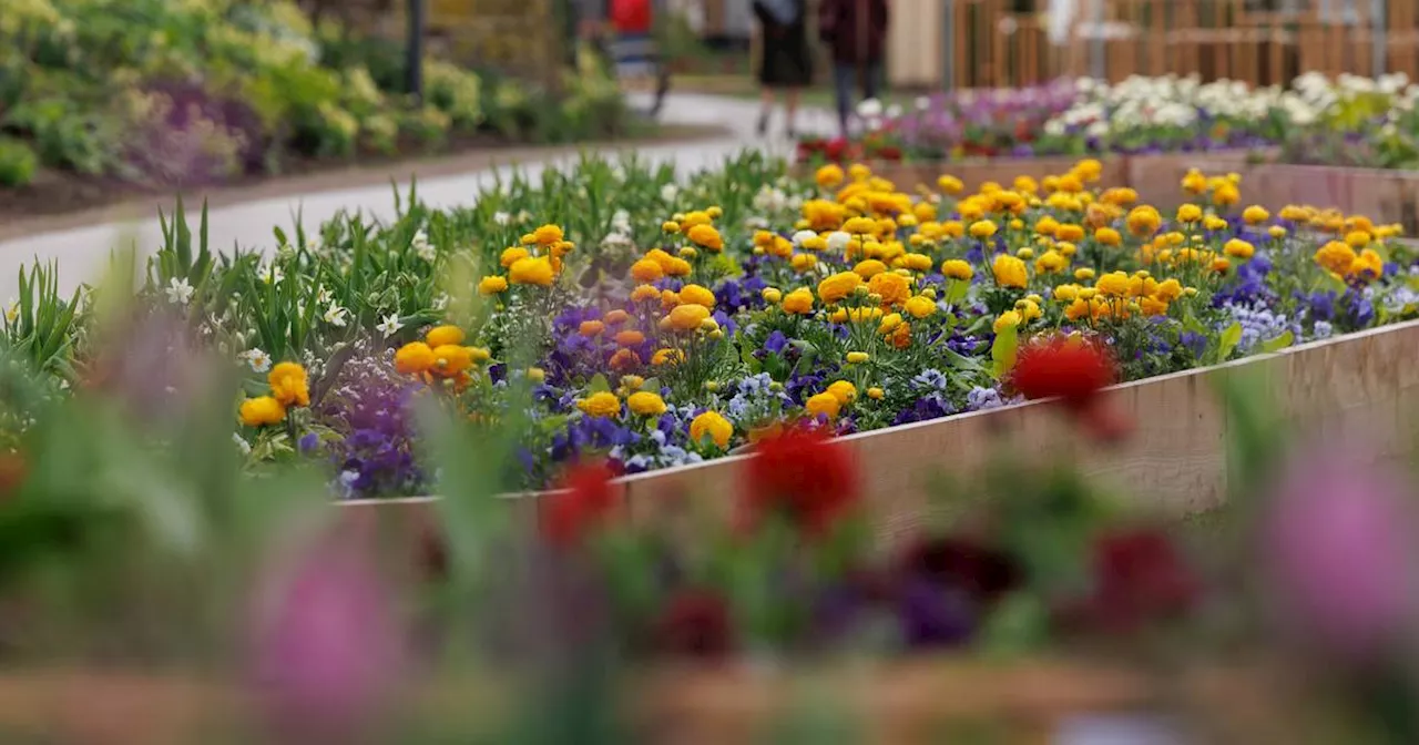 NRW bewirbt sich um Internationale Gartenschau 2037 in Garzweiler​