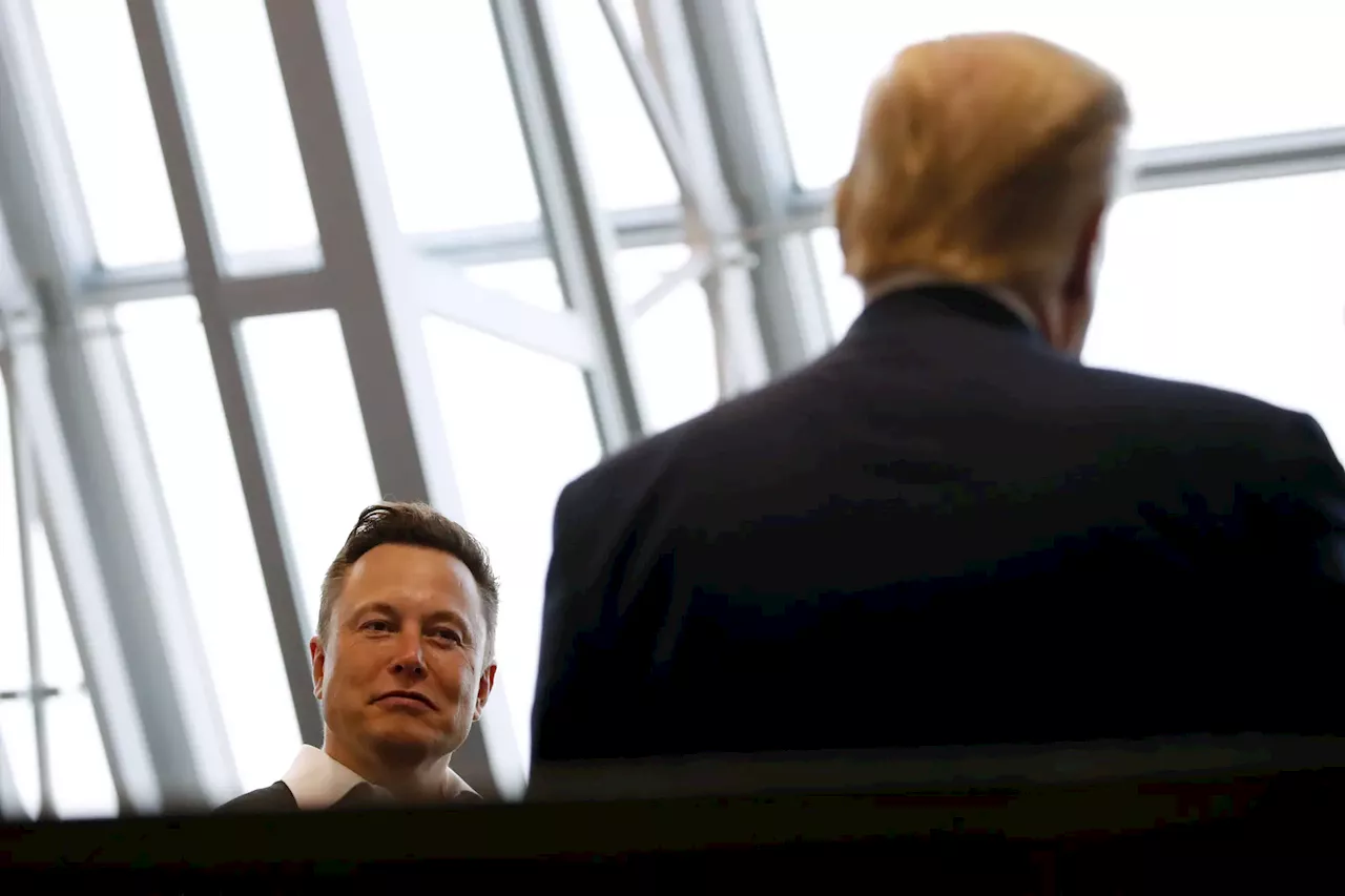 Elon Musk terá doado “quantia avultada” à campanha de Trump