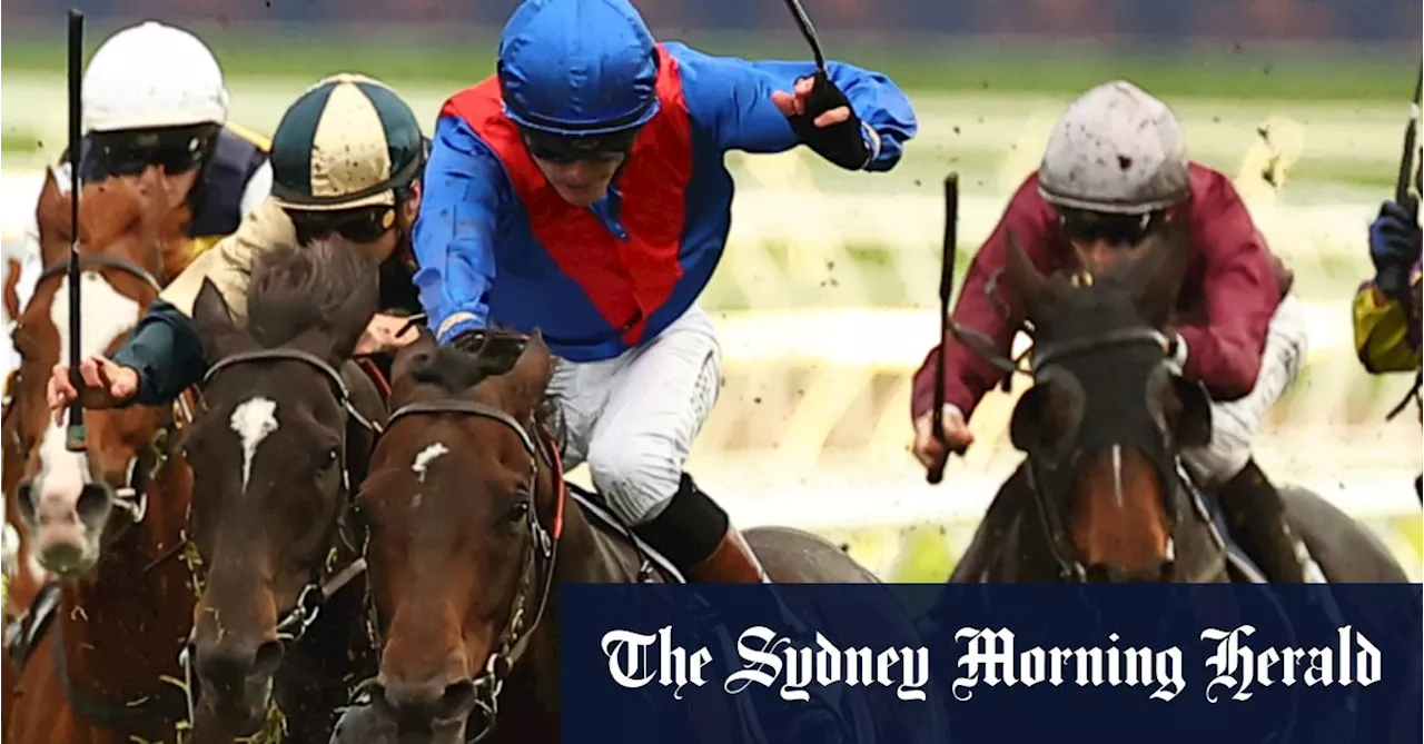 Race-by-race preview and tips for Randwick on Saturday