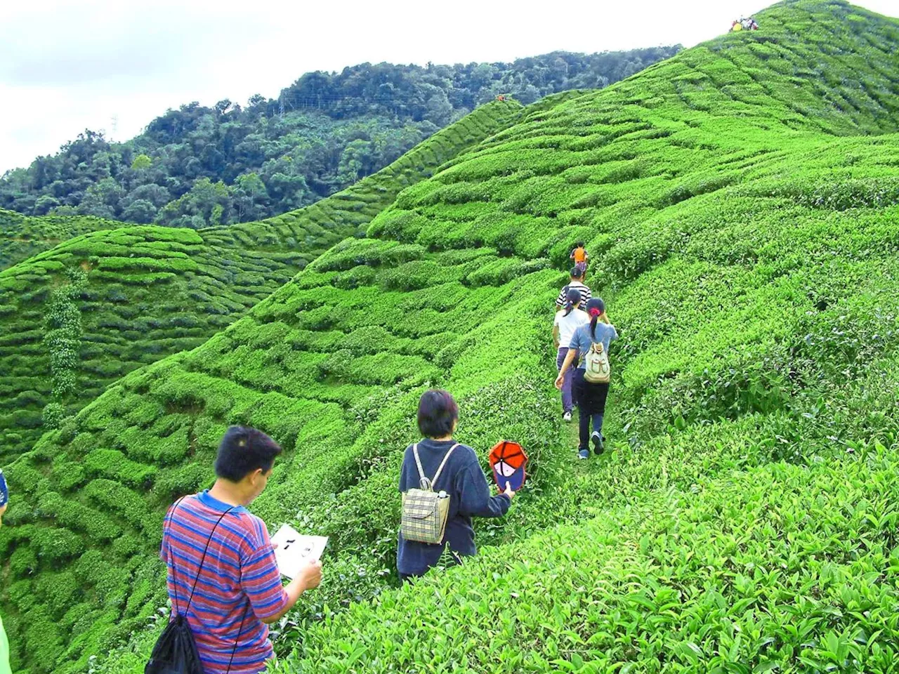 Set-jetting holiday: 4 film locations in Malaysia to check out