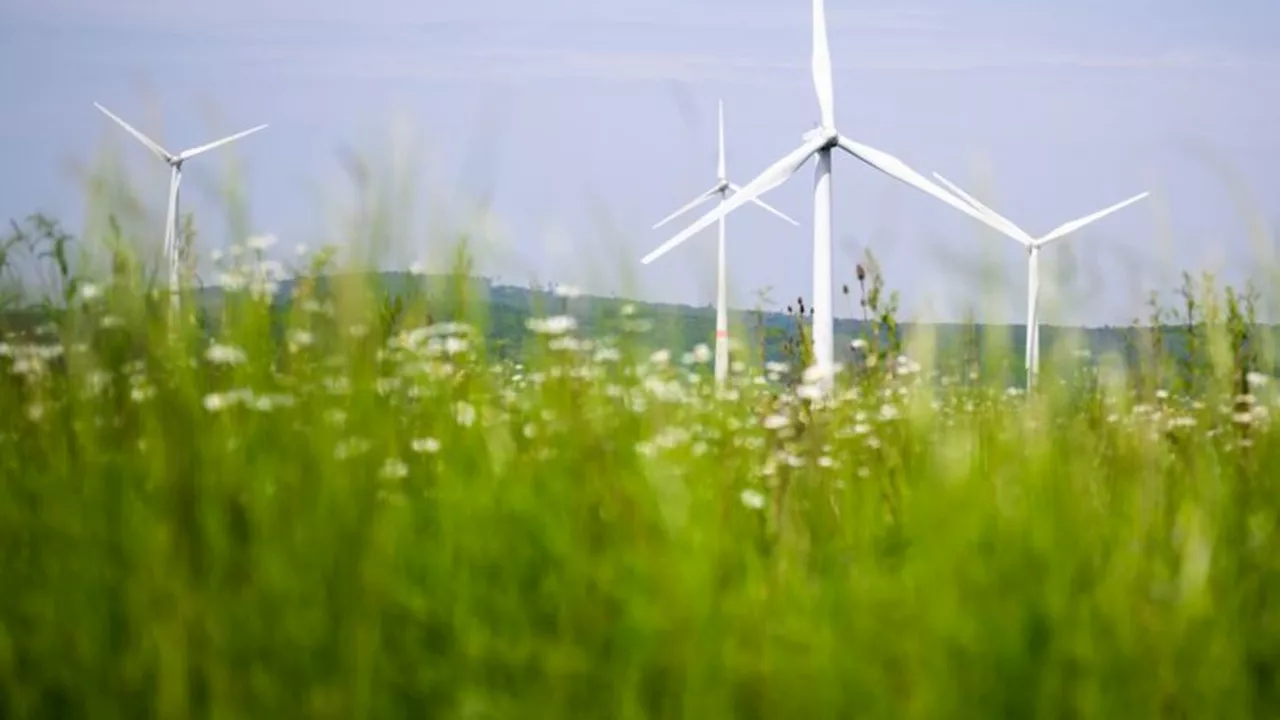 Energie: Erneuerbare Energie Schwerpunkt bei Tarmstedter Ausstellung