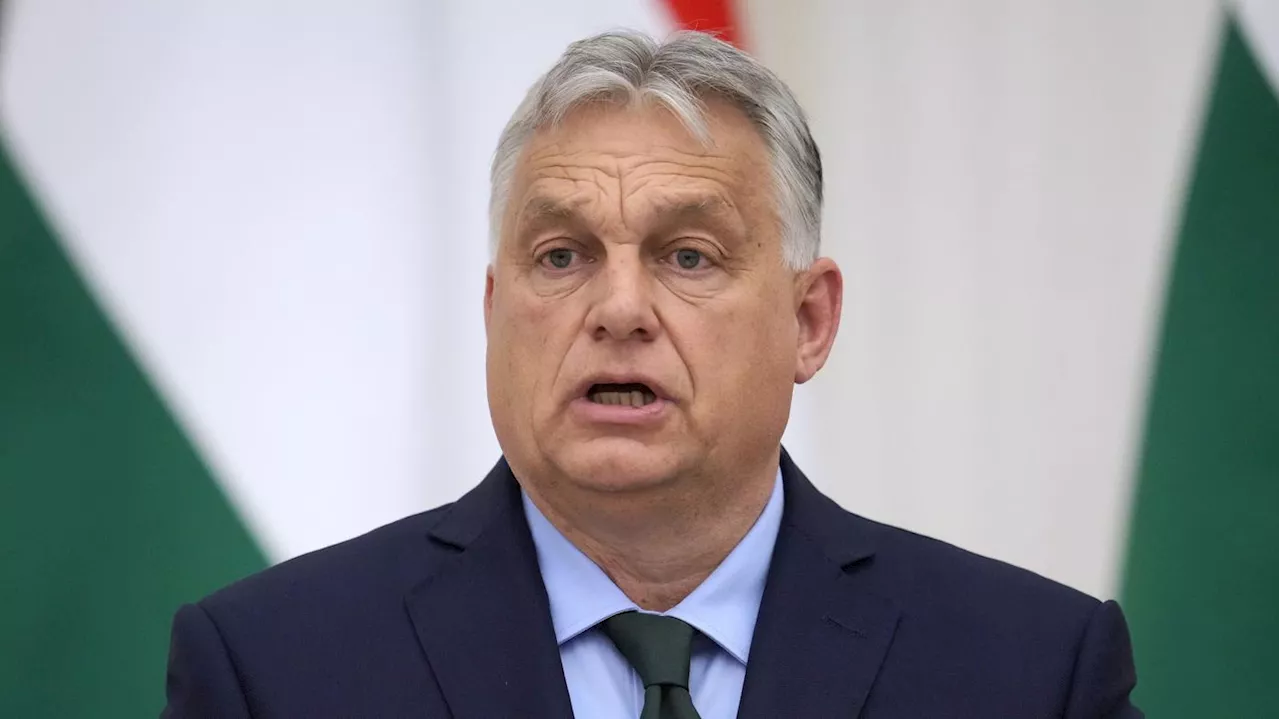 Nach „Friedensmission“ Orbáns in Russland: Litauen und Schweden schränken Zusammenarbeit mit Ungarn ein