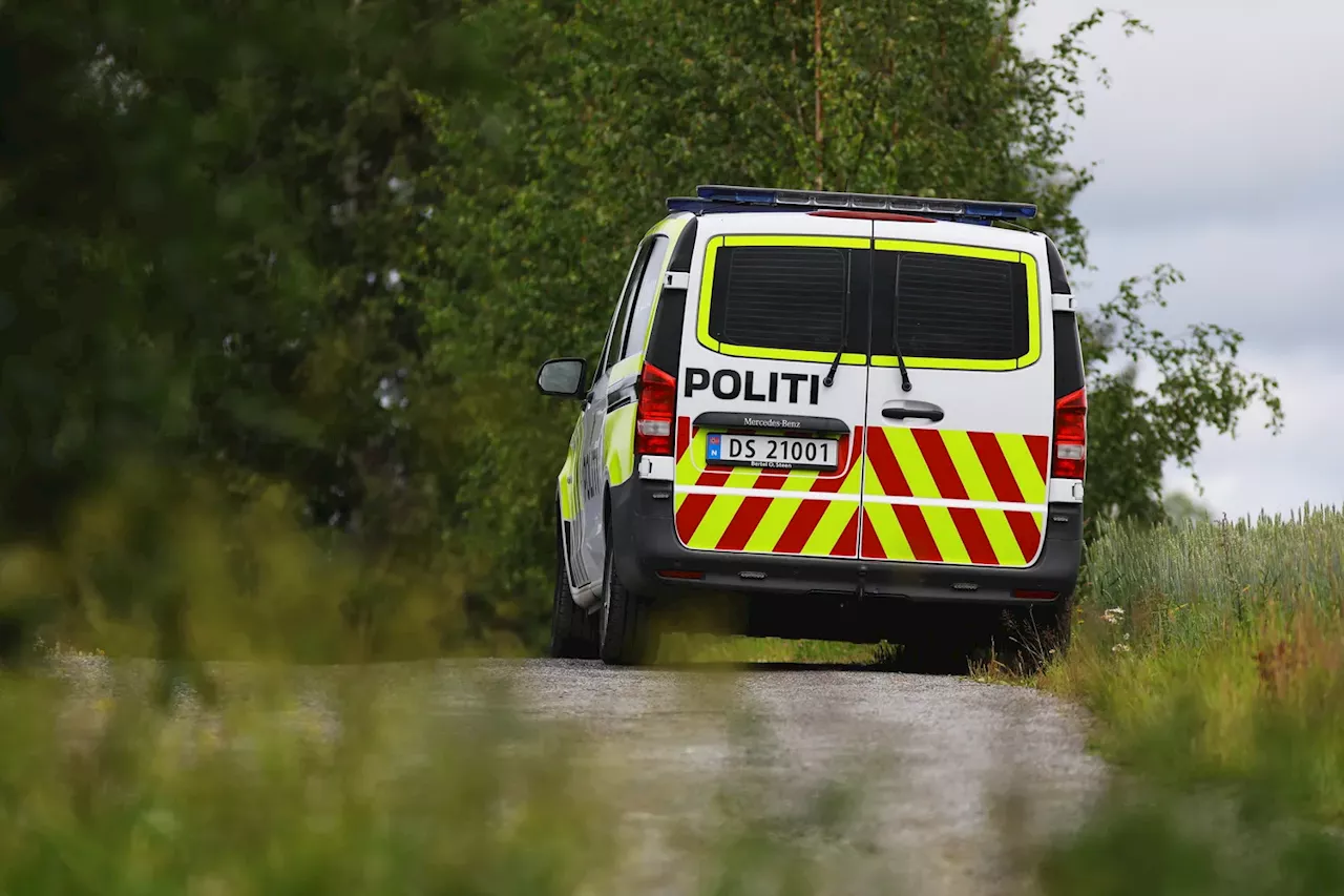 Hundeangrepet på Ringsaker – ikke avgjort hva som skjer med hunden