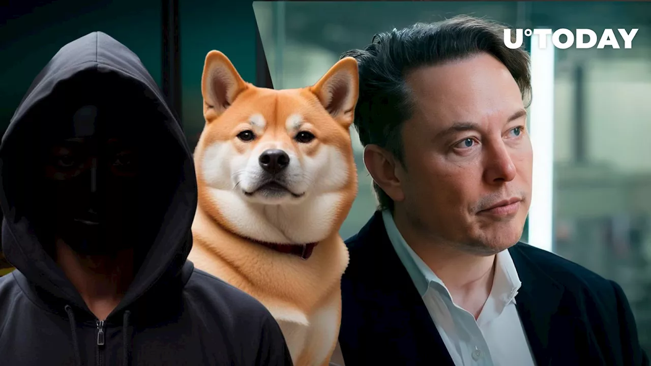 Shiba Inu Lead Breaks Silence on Being Elon Musk, Shares Big SHIB Vision