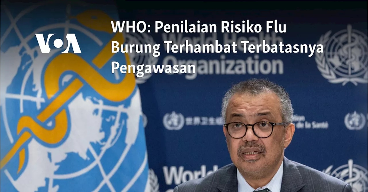 WHO: Penilaian Risiko Flu Burung Terhambat Terbatasnya Pengawasan