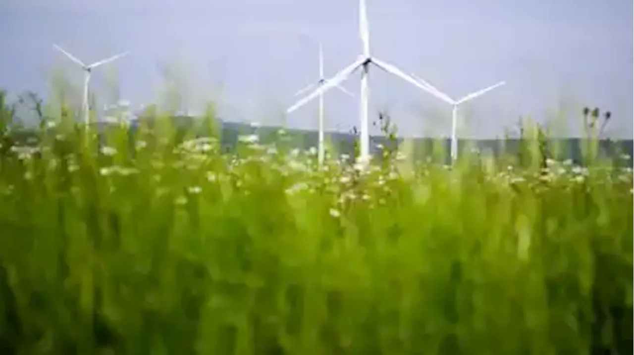 Erneuerbare Energie Schwerpunkt bei Tarmstedter Ausstellung