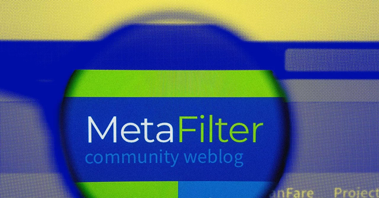 At 25, Metafilter Feels Like a Time Capsule From Another Internet