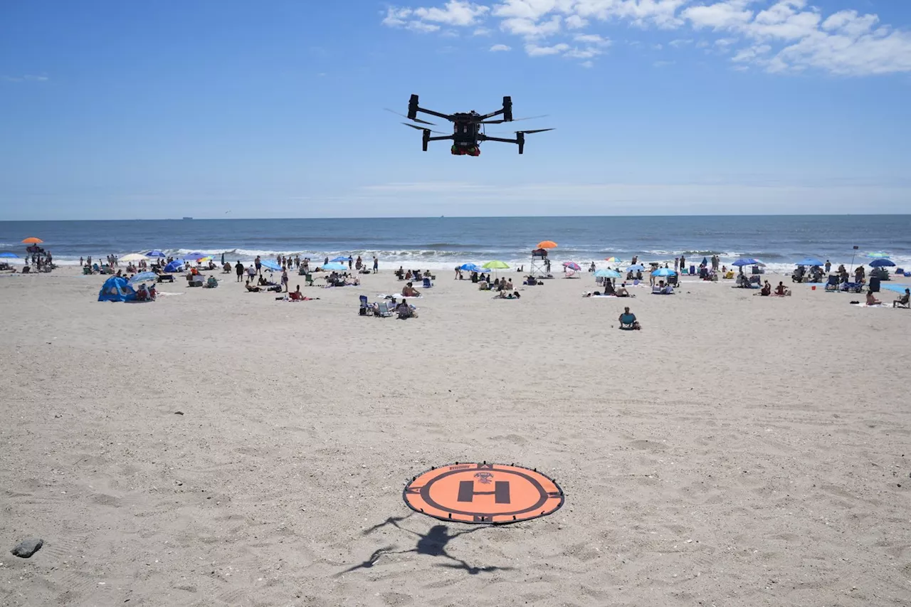 On NYC beaches, angry birds are fighting drones on patrol for sharks and swimmers