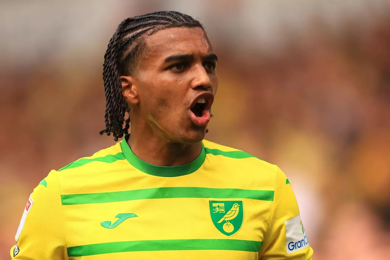 New Sheffield United recruit and ex-Norwich and Coventry player on why signing was easy
