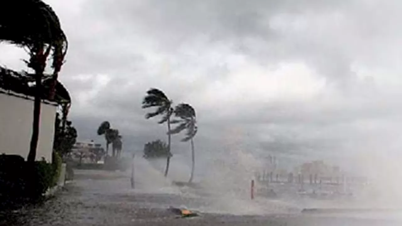 Kerala Rain Alert: സംസ്ഥാനത്ത് വ്യാപക മഴയ്ക്ക് സാധ്യത; മൂന്ന് ജില്ലകളിൽ ഓറഞ്ച് അലർട്ട്, ഒമ്പത് ജില്ലകളിൽ യെല്ലോ അലർട്ട്