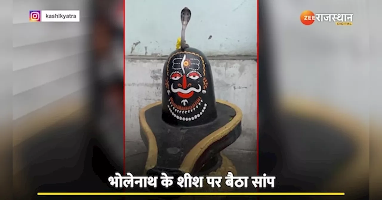 King Cobra: महादेव के शीश पर विराजे नागदेव! मंदिर में दिखा अद्भुत नजारा| Viral Video