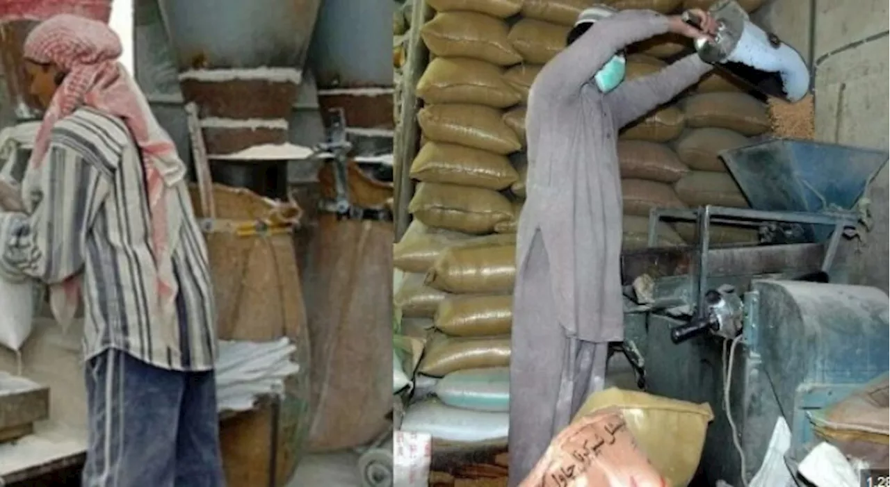 Flour crisis feared in Sindh as countrywide millers’ strike enters its third day