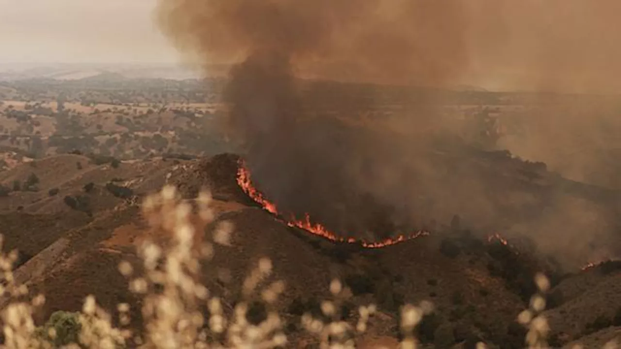 California wildfires latest: Santa Barbara County fire grows to over 38,000 acres