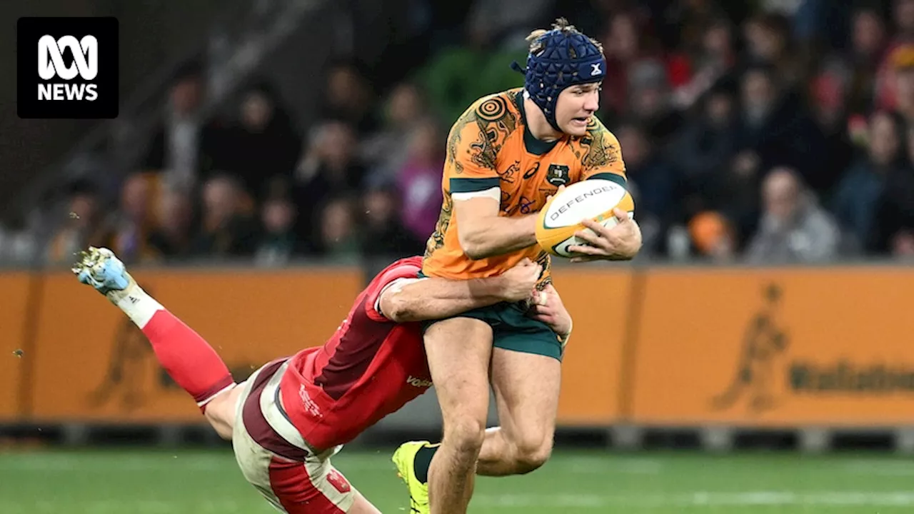 Wallabies v Wales: Australia remain unbeaten this year after defeating Wales in International Rugby