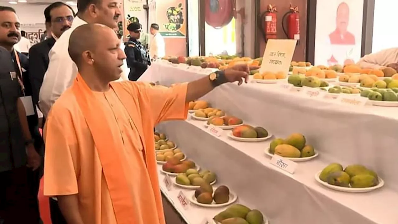 Mango Festival: यमकेश्वर का आम देखते ही खुश हुए मुख्यमंत्री योगी, बोले- यह तो मेरे जन्मस्थान का है...तस्वीरें