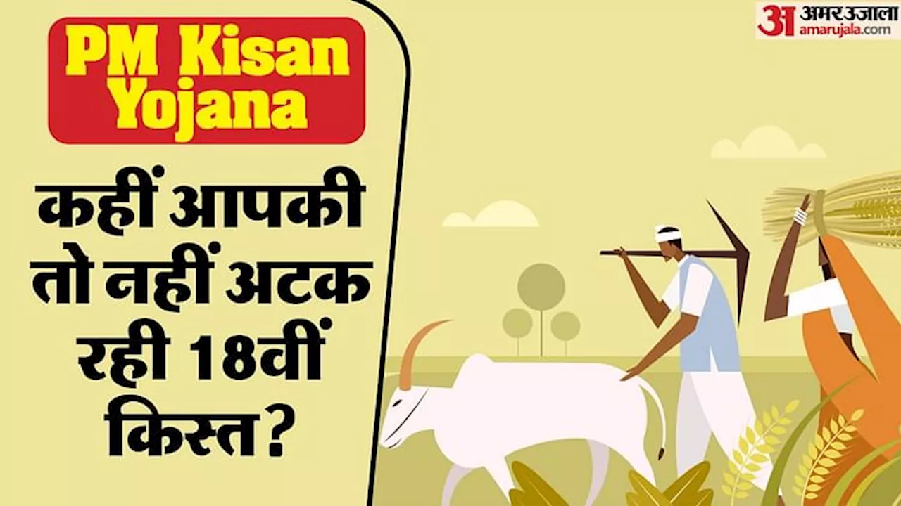 PM Kisan Yojana: ये हैं वे किसान जिन्हें नहीं मिल पाएगी 18वीं किस्त, चेक करें कहीं आप तो नहीं सूची में