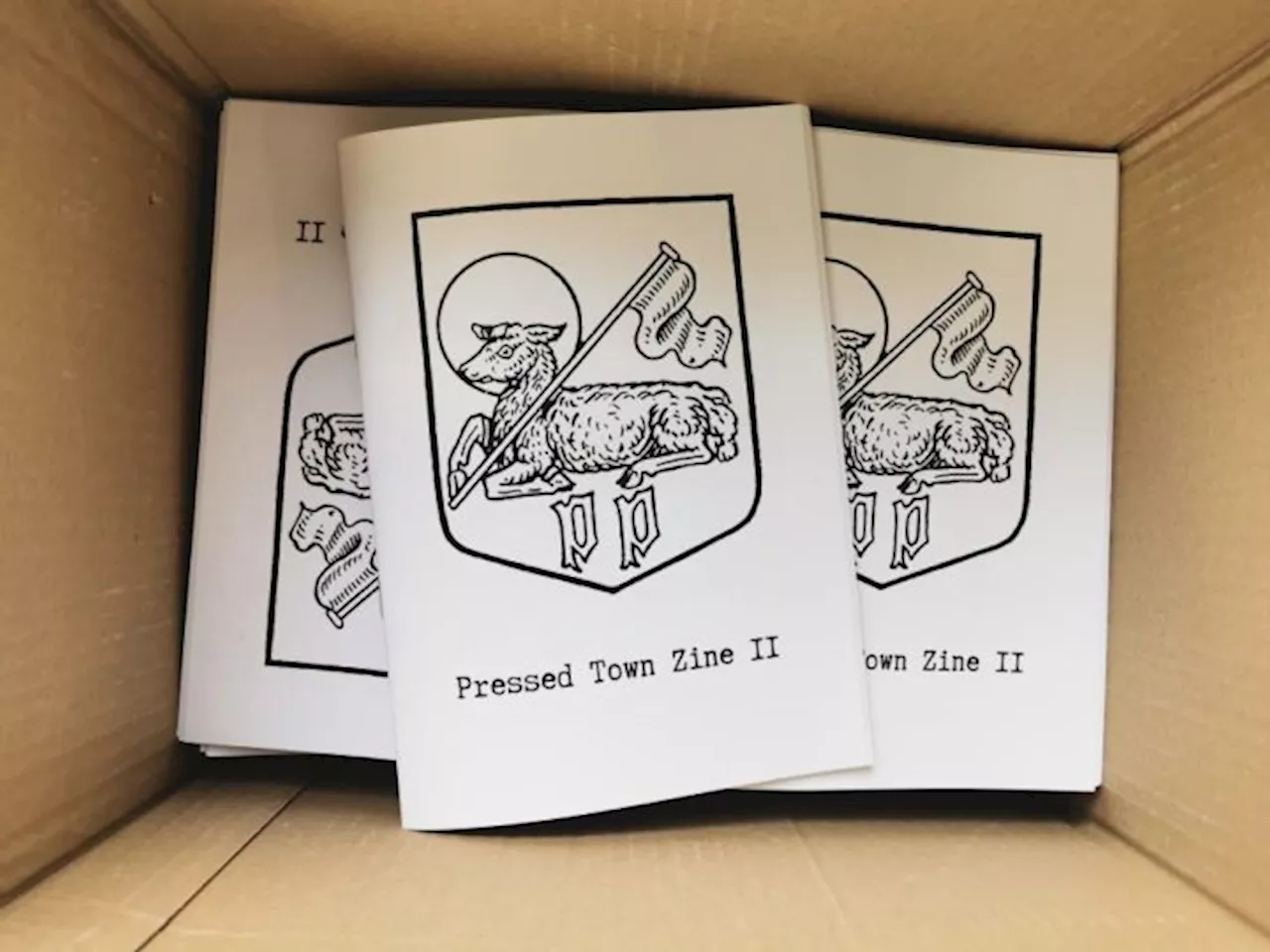 Anonymous collective launches free zine exploring the good and the bad of Preston