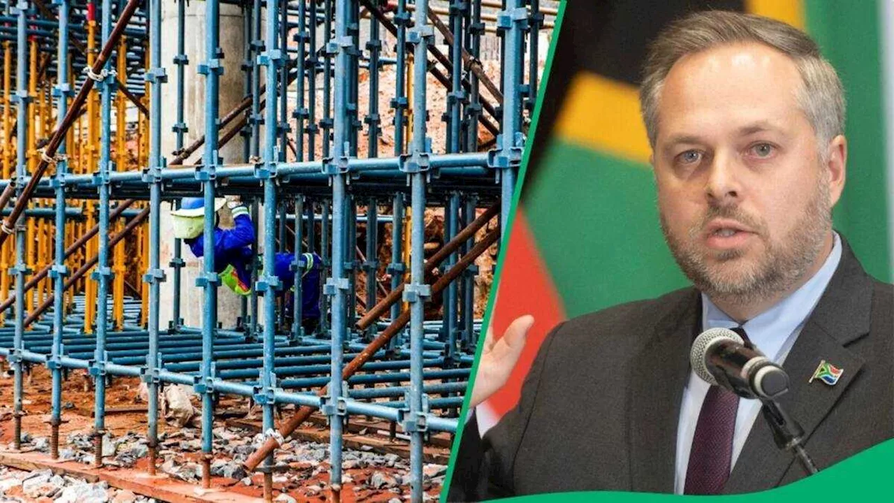 Home Affairs Minister Leon Schreiber Praised As Dozens of Construction Workers Run Off in Viral Clip