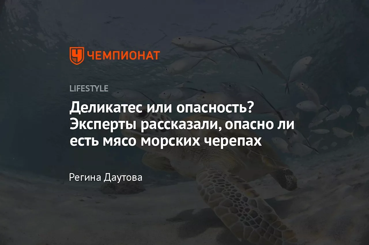 Деликатес или опасность? Эксперты рассказали, опасно ли есть мясо морских черепах