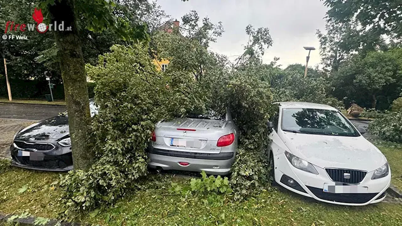 Stmk: Unwetter mit orkanartigen Böen sorgen am 12. Juli 2024 für Einsätze in Weiz