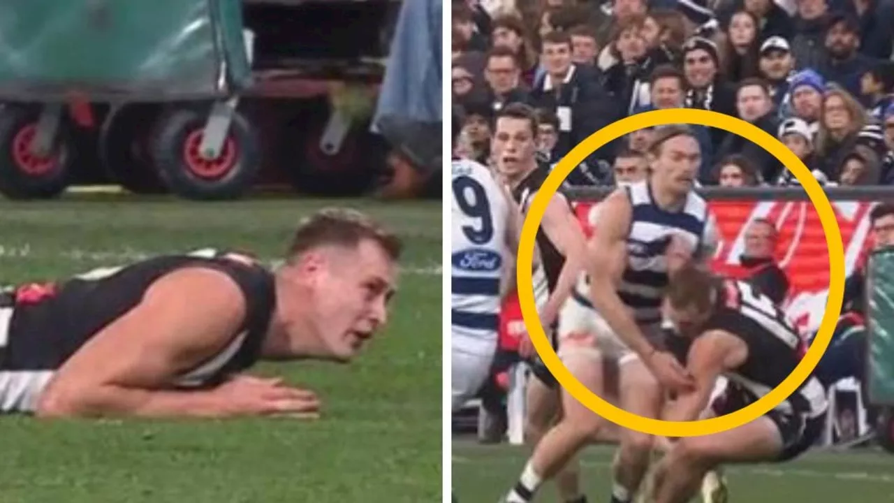 ‘Still room for accidents’: Star Cat ‘should be fine’ with MRO despite high shot on Magpie