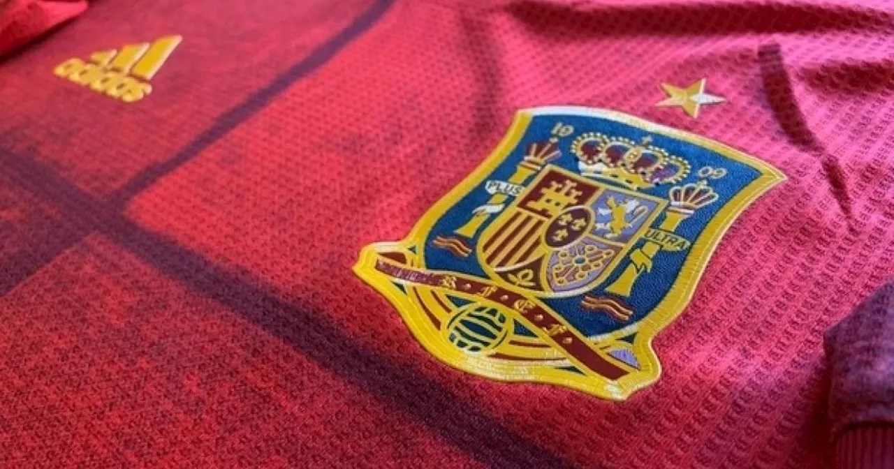 Jugadores de España y la motivación del premio económico si ganan la Euro 2024