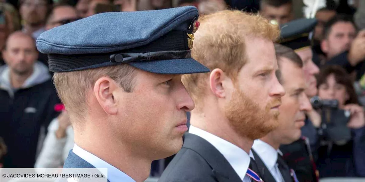 Harry et William en froid : l’époux de Kate Middleton prêt à “exploser”