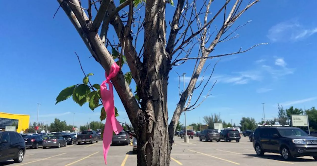 Calgary irrigation company feels the pinch of outdoor water restrictions