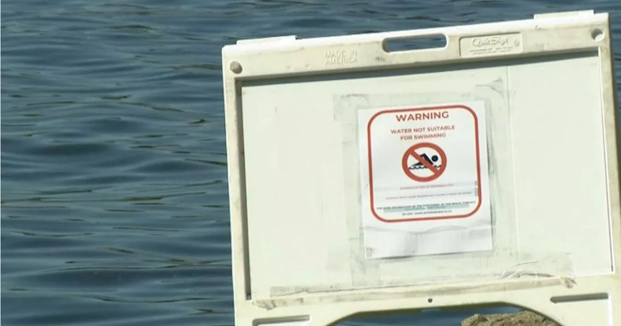 More alerts pondered after rash of swimming advisories for Okanagan Lake