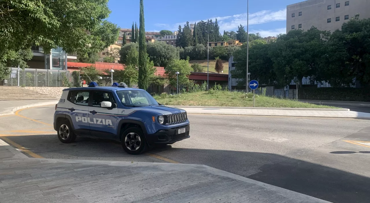 Perugia, insospettabile denunciato per spaccio: beffato dall'odore di droga