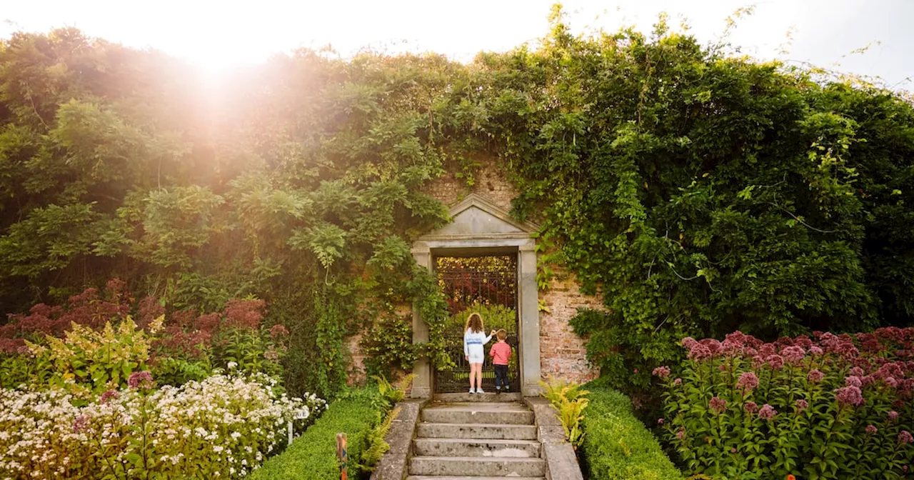 22 great gardens centres where you can find a good lunch too