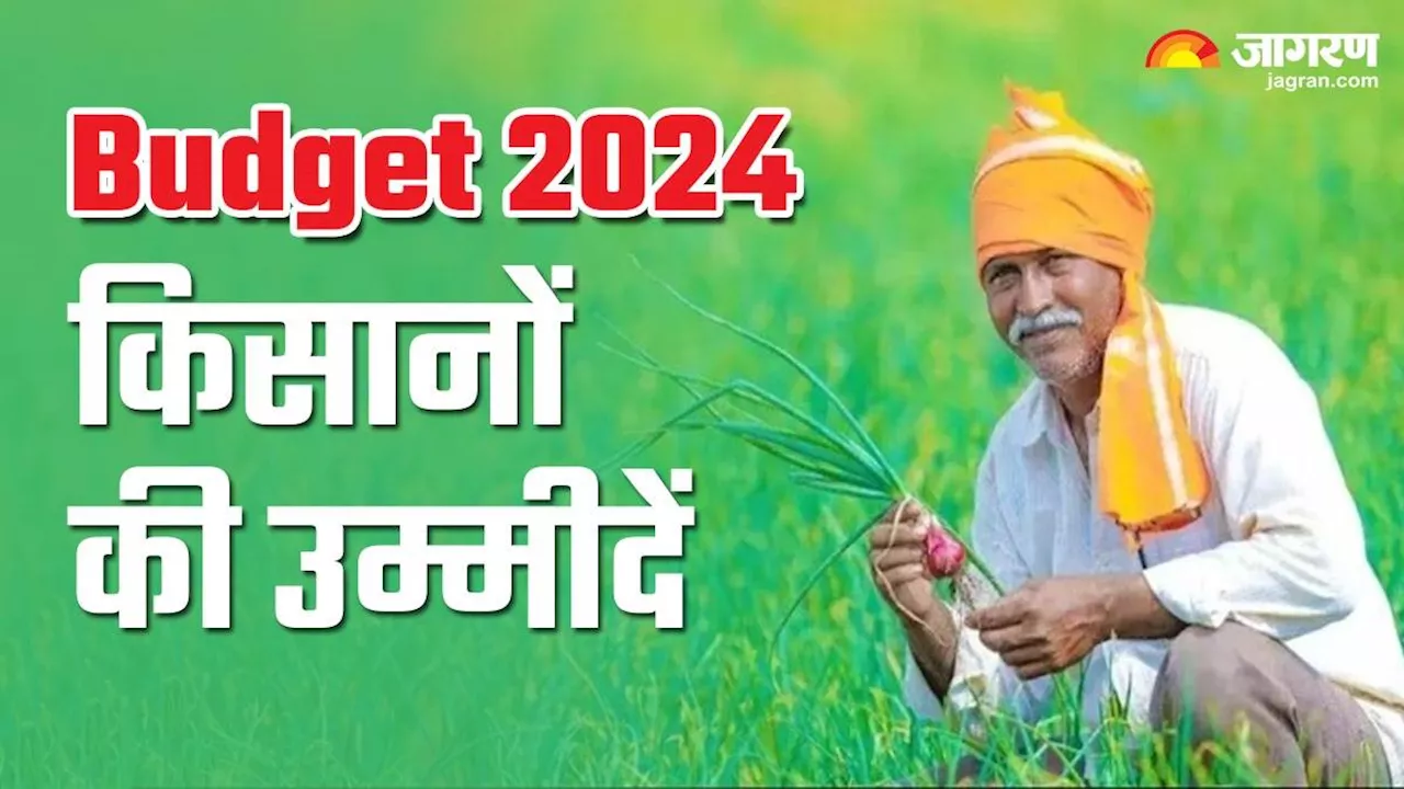 Budget 2024: आम बजट में किसानों के लिए हो सकते हैं कई एलान, पीएम किसान योजना की राशि बढ़ोतरी के साथ इन घोषणाओं की है उम्मीद