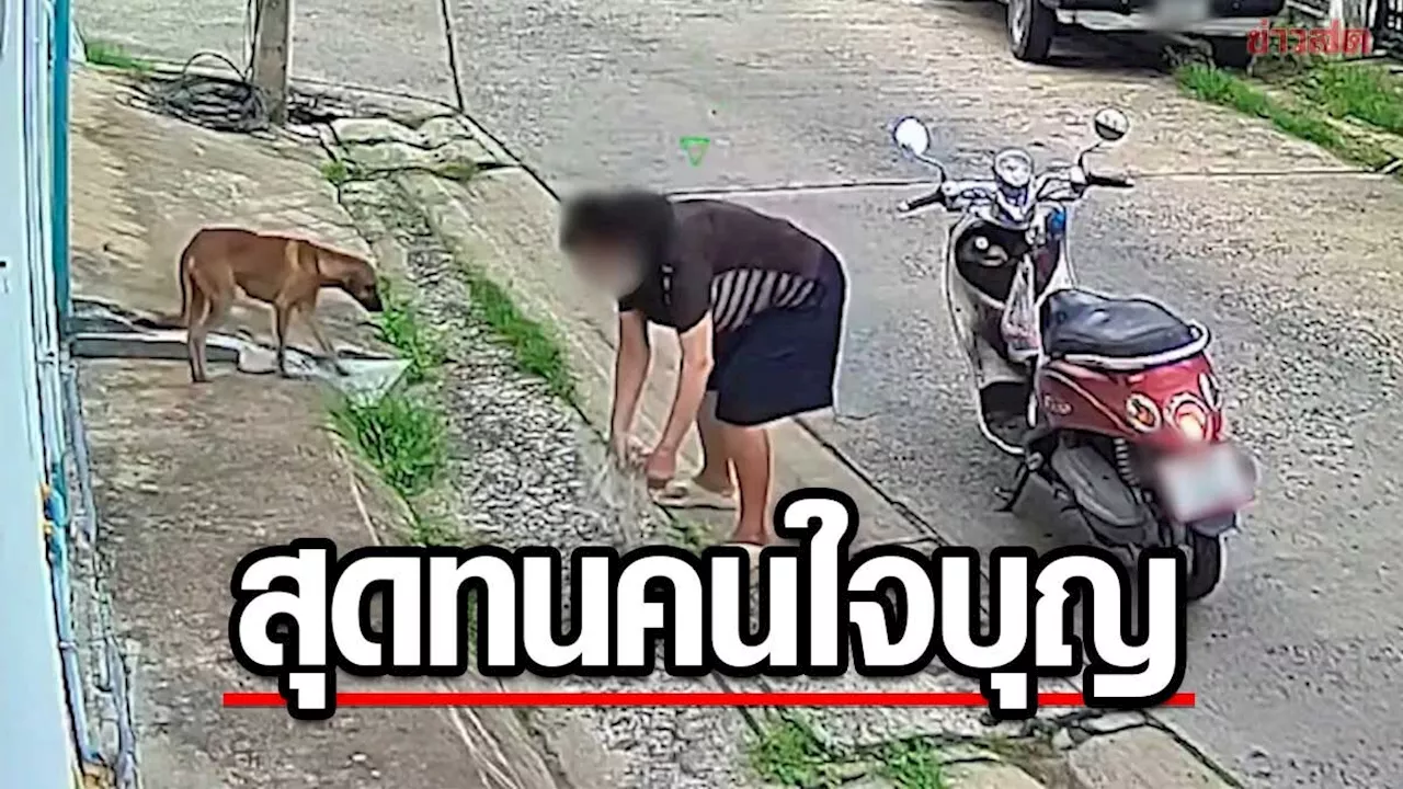 ข่าวสด