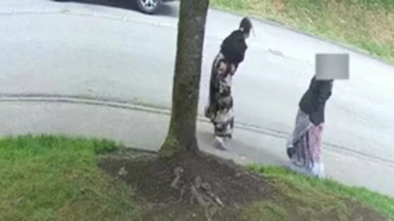 String of Redmond street thefts seem to target older adults walking alone